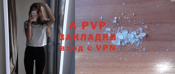 индика Осташков
