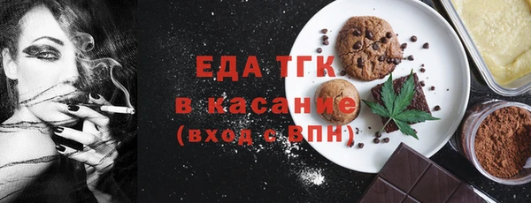 индика Осташков